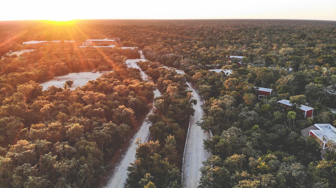 TulumTulum's tweet photo. ✨¡Faltan 4 días para #ZenExperienceTulum! ✨
Un despertar espiritual donde conectarás con lo más 𝗽𝗿𝗼𝗳𝘂𝗻𝗱𝗼 𝗱𝗲 𝘁𝘂 𝗰𝗼𝗿𝗮𝘇𝗼́𝗻 y terminarás completamente renovado.
🗓: Ene 18-22
📍#WakaxHacienda
🌐Más info y boletos: https://t.co/9cR7SaoQyS
#Tulum https://t.co/Z99o5KsHsW