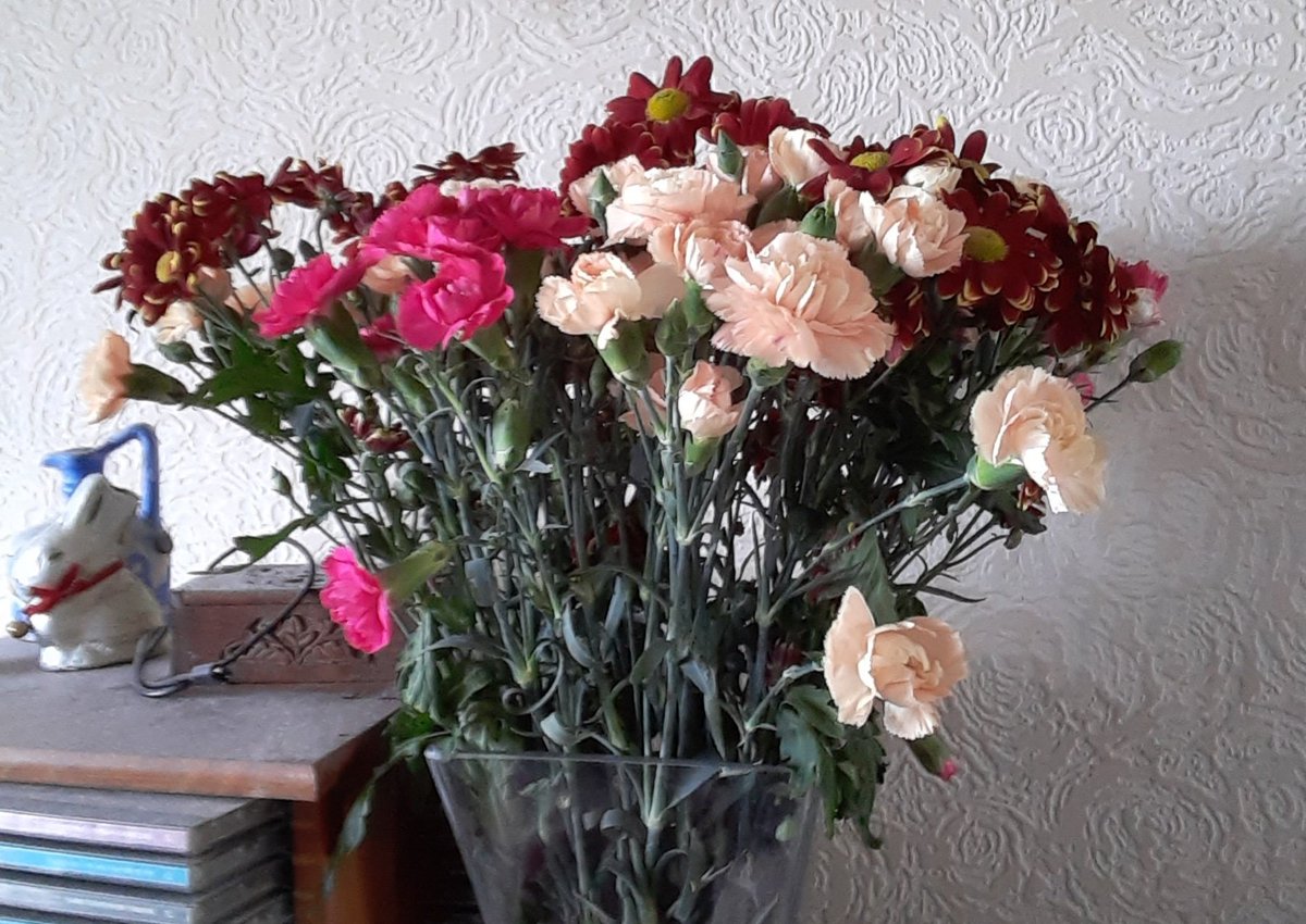 WarphobblerKaz's tweet photo. Day 504 (485):  Wednesday flowers for whoever wants or needs them, no matter wherever or whatever or whoever you may be...

#COVIDLife #Stage4CKD #SeverelyIllAndDisabled #creativephotography #stilllife #Wednesdayflowers #flowers #carnations #YnysMôn #KazAlexander #SA10.1 https://t.co/cDYWB0TpJj