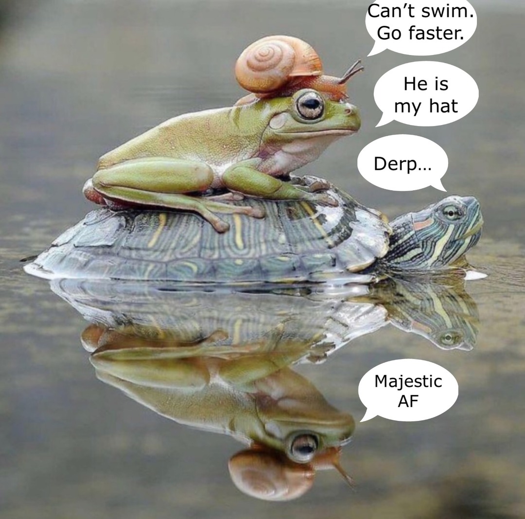 HMS_M1ssou (@m1ssour1) on Twitter photo 