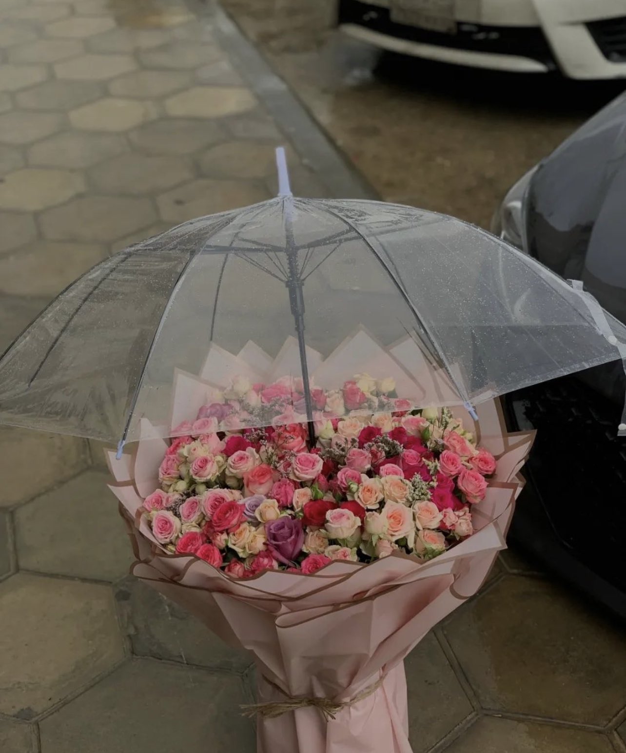 ���� ���� ������ �� ���� ������