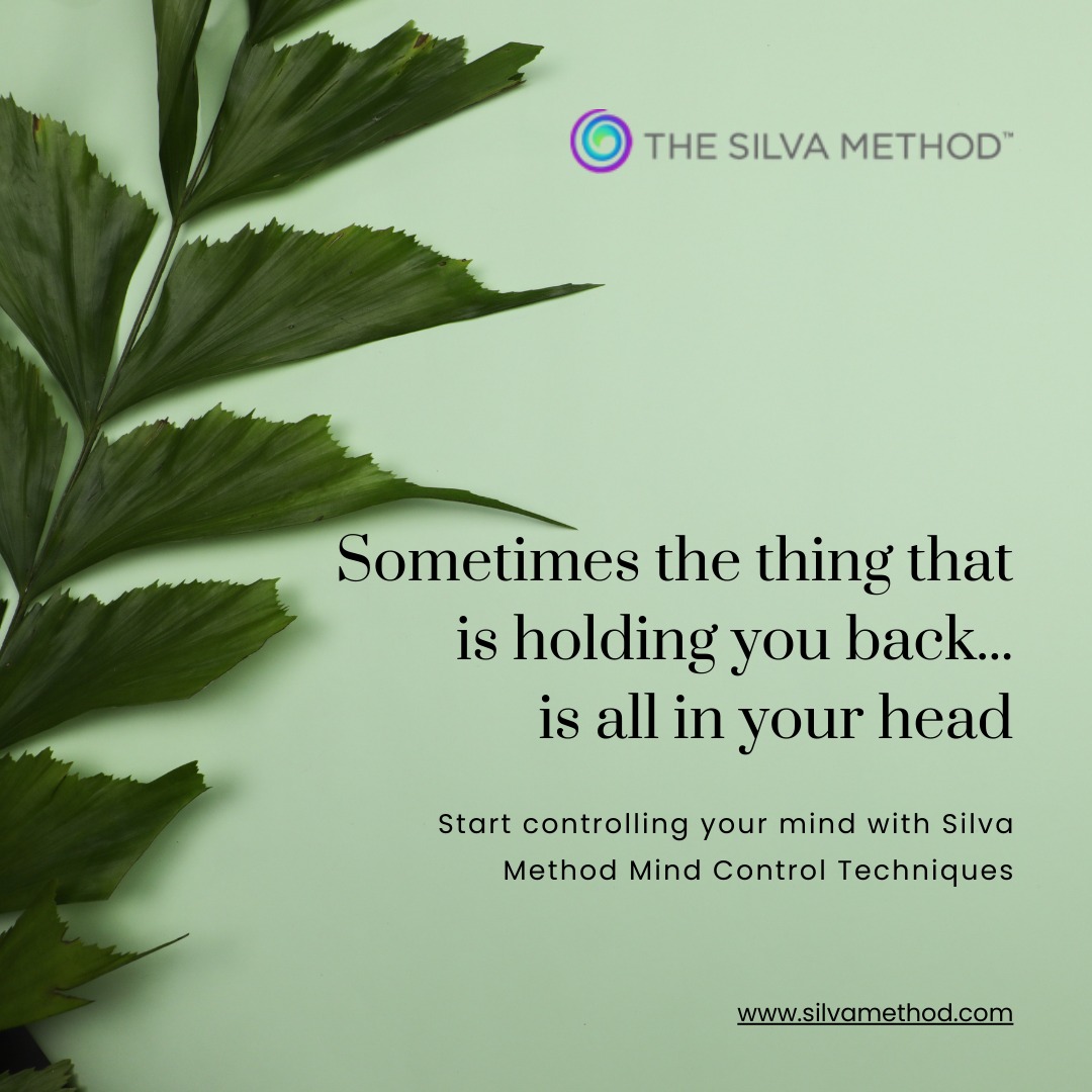 SilvaHomeOffice's tweet image. Sometimes the thing that is holding you back is your head...
Take the control over your brain..Start learning Silva Mind Control method...

Enroll now to the Home Study program of Silva Method : silvamethod.com/store/course/s…

#SilvaMindControl #mindfulness #manifestation #intuition