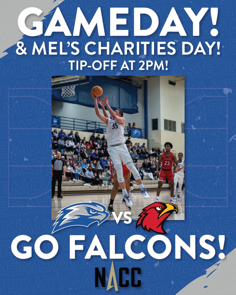 Home action continues! It’s also Mel’s Charities and Special Olympics Day! 

🆚 Illinois Tech at 2pm!
📍 at CUW!
#️⃣ #d3hoops #NACCtion