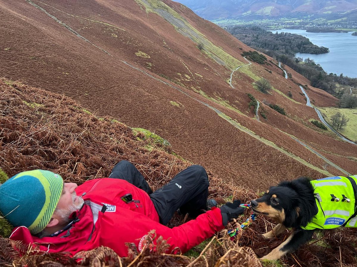 DogBramble's tweet photo. This is my #happyface. The face of having found a #dogsbody. The face of having climbed a crag to find the body. The face of having had to give lots of encouragement to the boss to follow me up the crag. #teamwork #hurryupdad #onemanandhisdog @MRSearchDogsEng @NNPMRT https://t.co/7kXSOGnouT