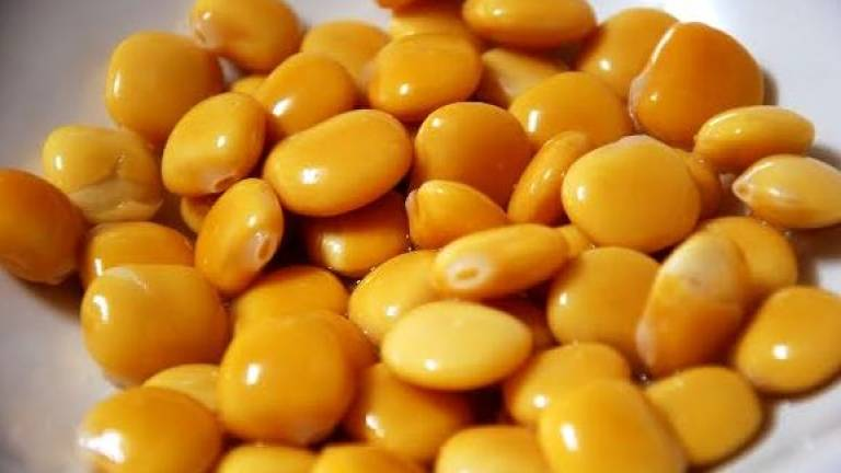 Cristinini ൠ tweet media