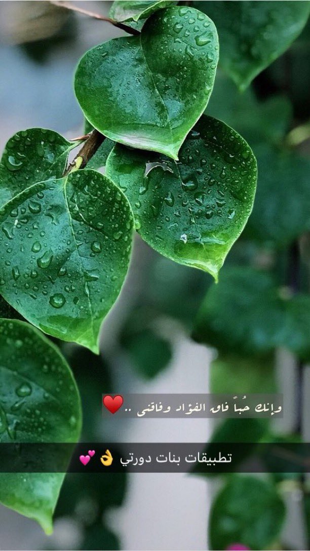 zyv0__'s tweet photo. للبنات اللي يحـُبون التصوير وودهم يتعلمون ومو عارفين أساسيات التصوير وكل شي يخص التصوير تعالوا عندي اعطيكم  دورات تصوير مجانيه بدل م تدفعون الالاف ب٤ ايام وباذن الله تستفيدون منها وهذولي صور تطبيقات بنات بأسبوعين فقط 📸✨
لأساعد محبين التصوير اعملوا رتويت ♥️ https://t.co/VCFzcb0Lo1