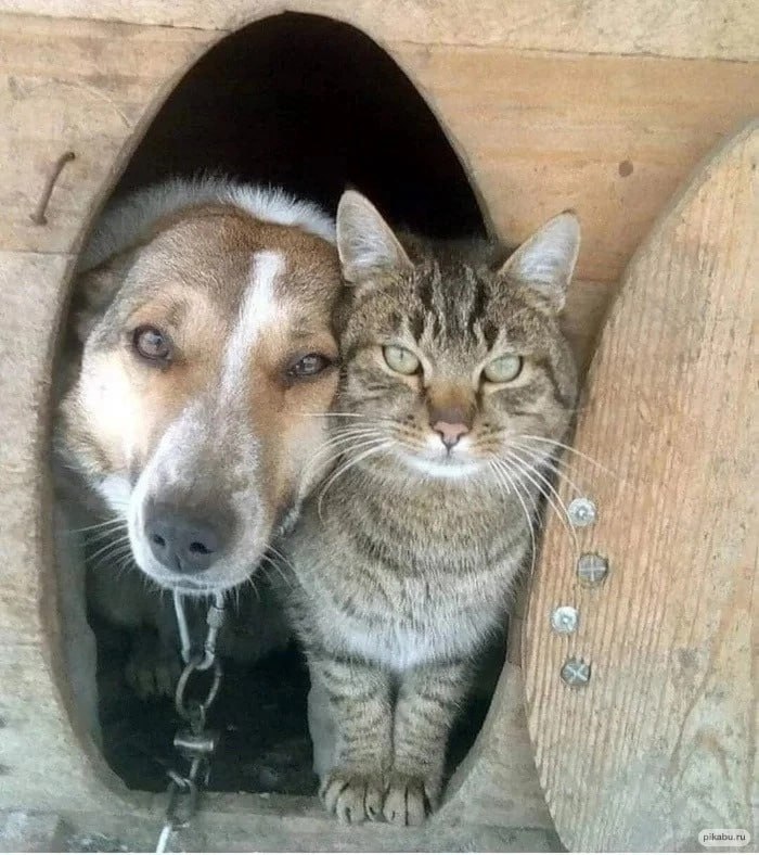 А у нас потеплело.