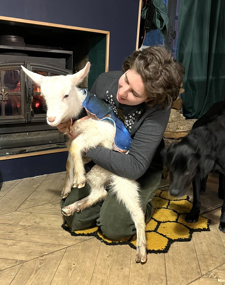 Dr Becky Kennedy | Cepheid Studio tweet media