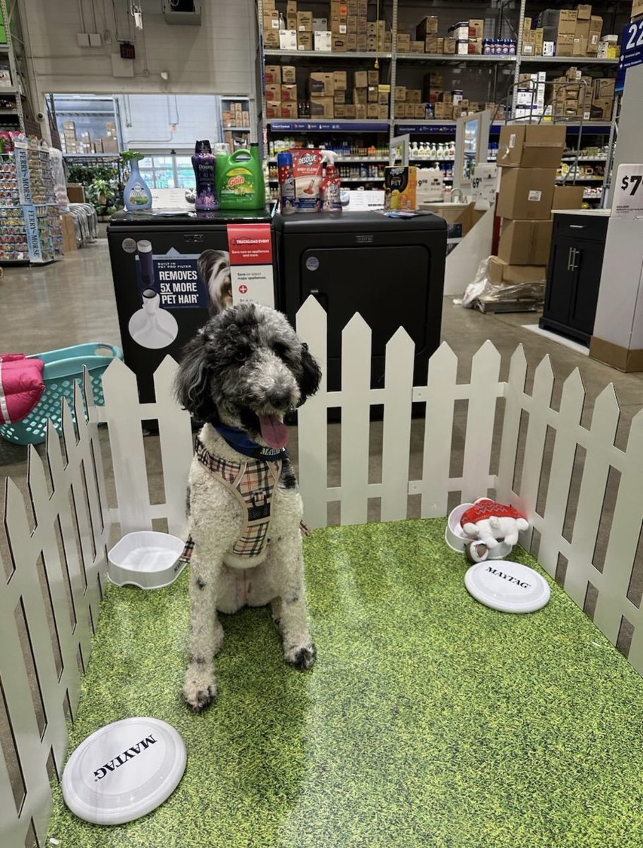 Lowes_D1294's tweet photo. When is it the best work day ever? When it’s a pet party and you can see all the puppies!!! #DogsOfLowes #Maytag #PetParty #Lowes #CorbinKY #BestDayEver @bigbuck_55 https://t.co/C69pVNnFkB