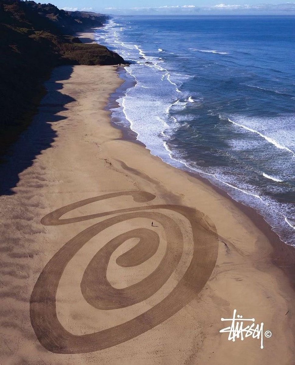 ModernNotoriety's tweet image. 