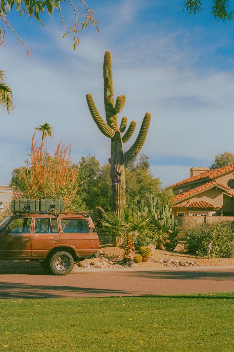 Alex Kittoe tweet media