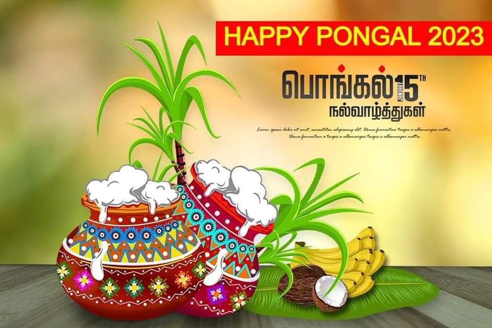 RAMALRAJ11's tweet photo. https://t.co/eB082rjeq4