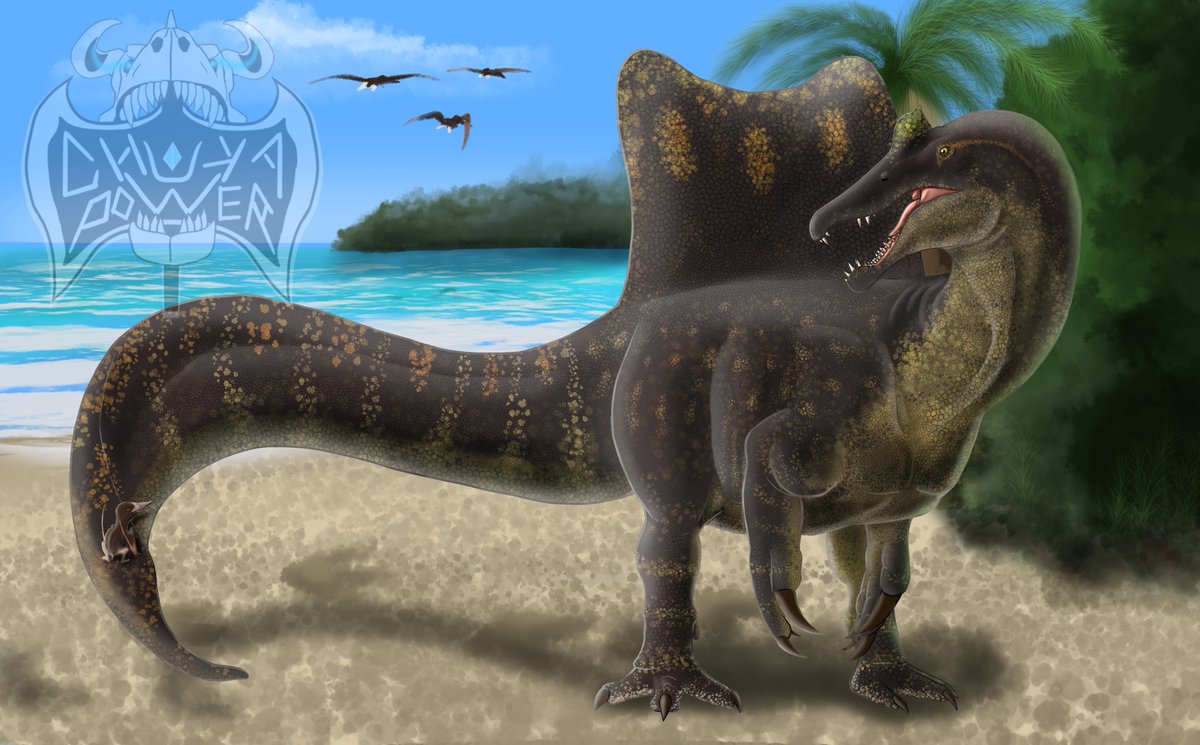 Chukapower's tweet image. A young pterosaur has found a strange looking perch. Spinosaurus is more curious than annoyed.