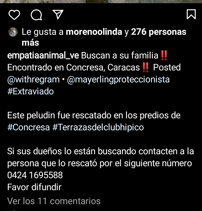 PerroUsuario's tweet photo. #EXTRAVIADO RT @cocomaria58: Busca a su familia #concresa #CARACAS 0424.1695588 https://t.co/it421WLL4c