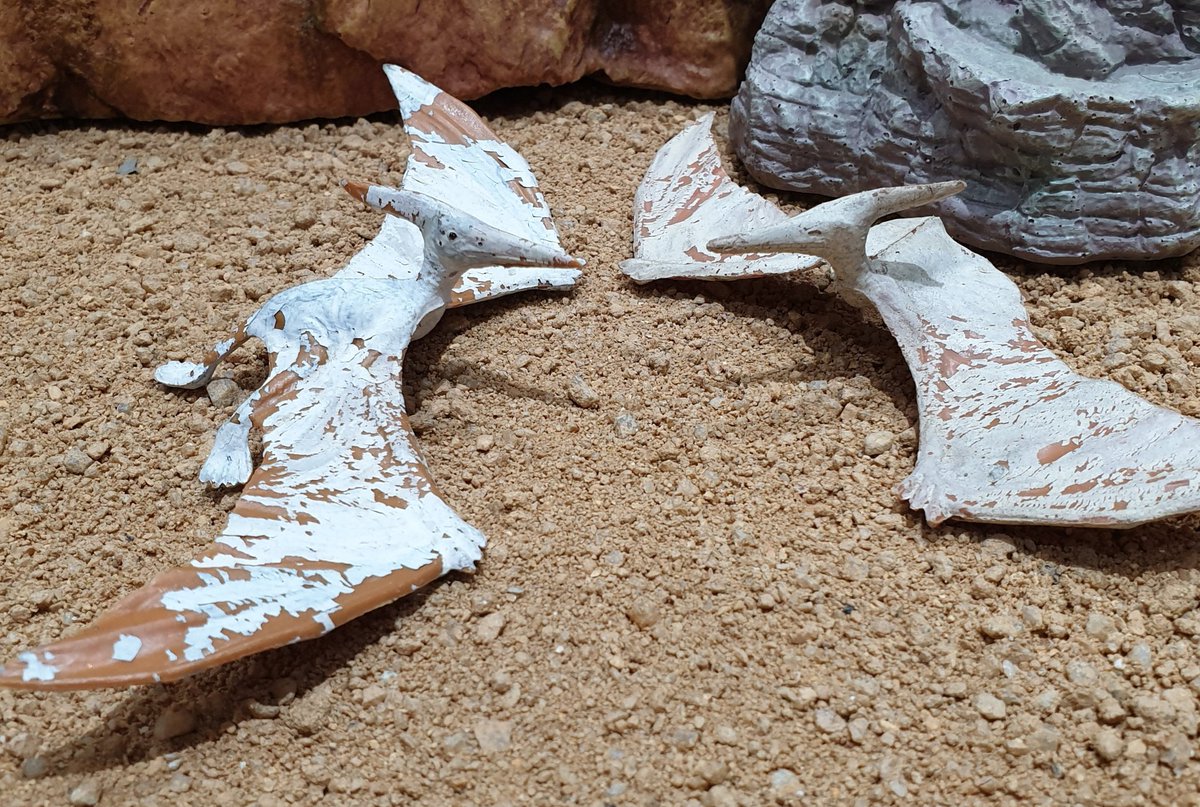 Darren Naish tweet media