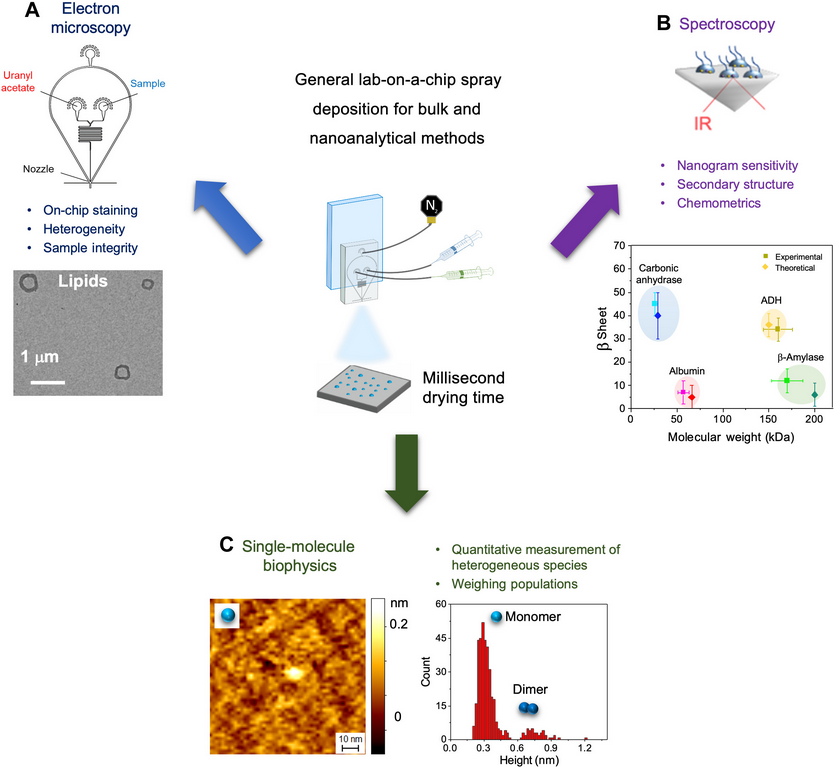 The Science of Parkinson's tweet media