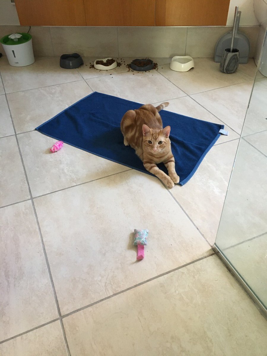 nicholsonj's tweet photo. Why I Couldn’t Put The Bathmat Away - A Photo Essay https://t.co/8bLsCLMWyP