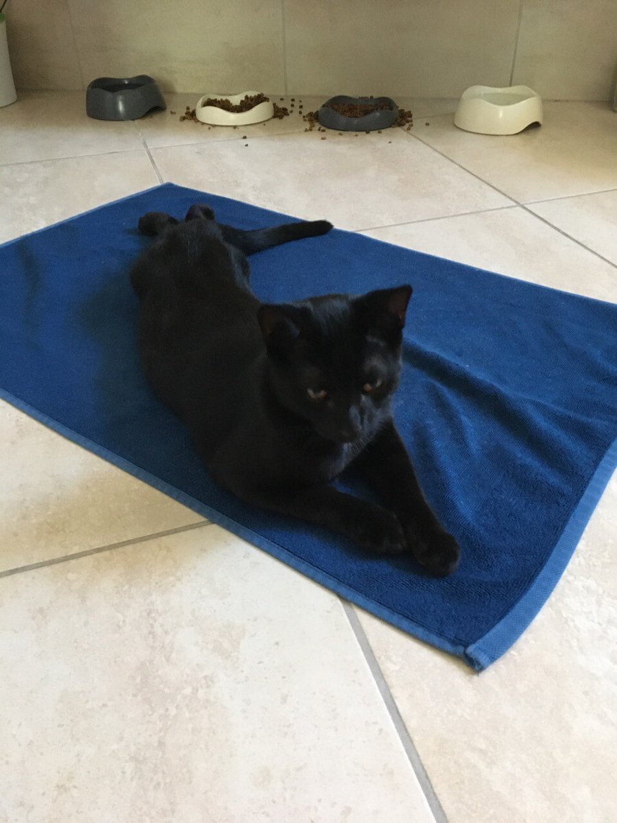 nicholsonj's tweet photo. Why I Couldn’t Put The Bathmat Away - A Photo Essay https://t.co/8bLsCLMWyP