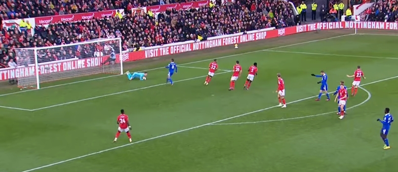 Doug__Forest tweet media