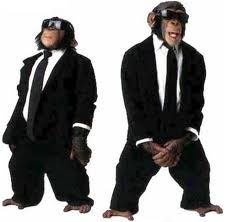 LesleyWinger's tweet photo. monkey https://t.co/vHKNFUZn9e