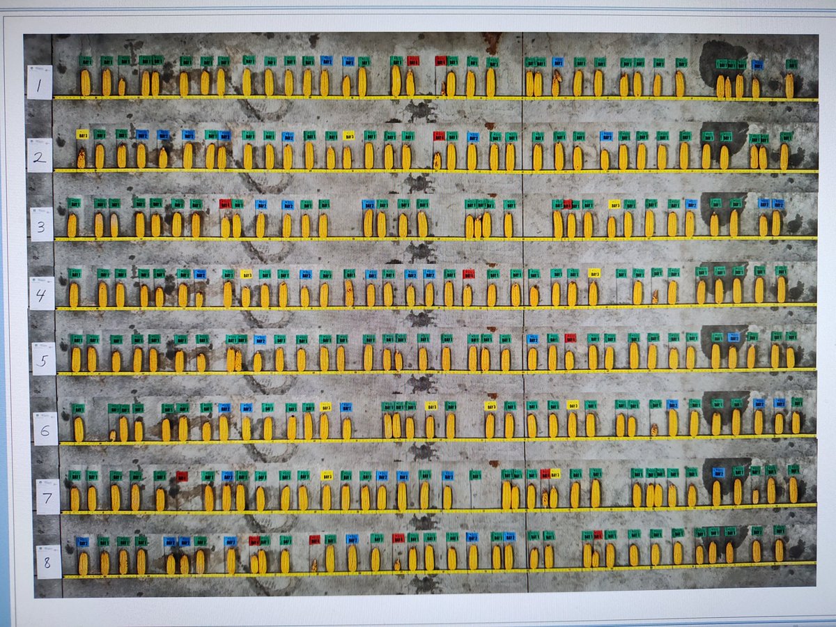 Kent Higerd tweet media