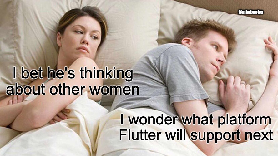 mkobuolys's tweet image. #17DaysOfFlutter memes - Day 10: Any guesses? 🤔