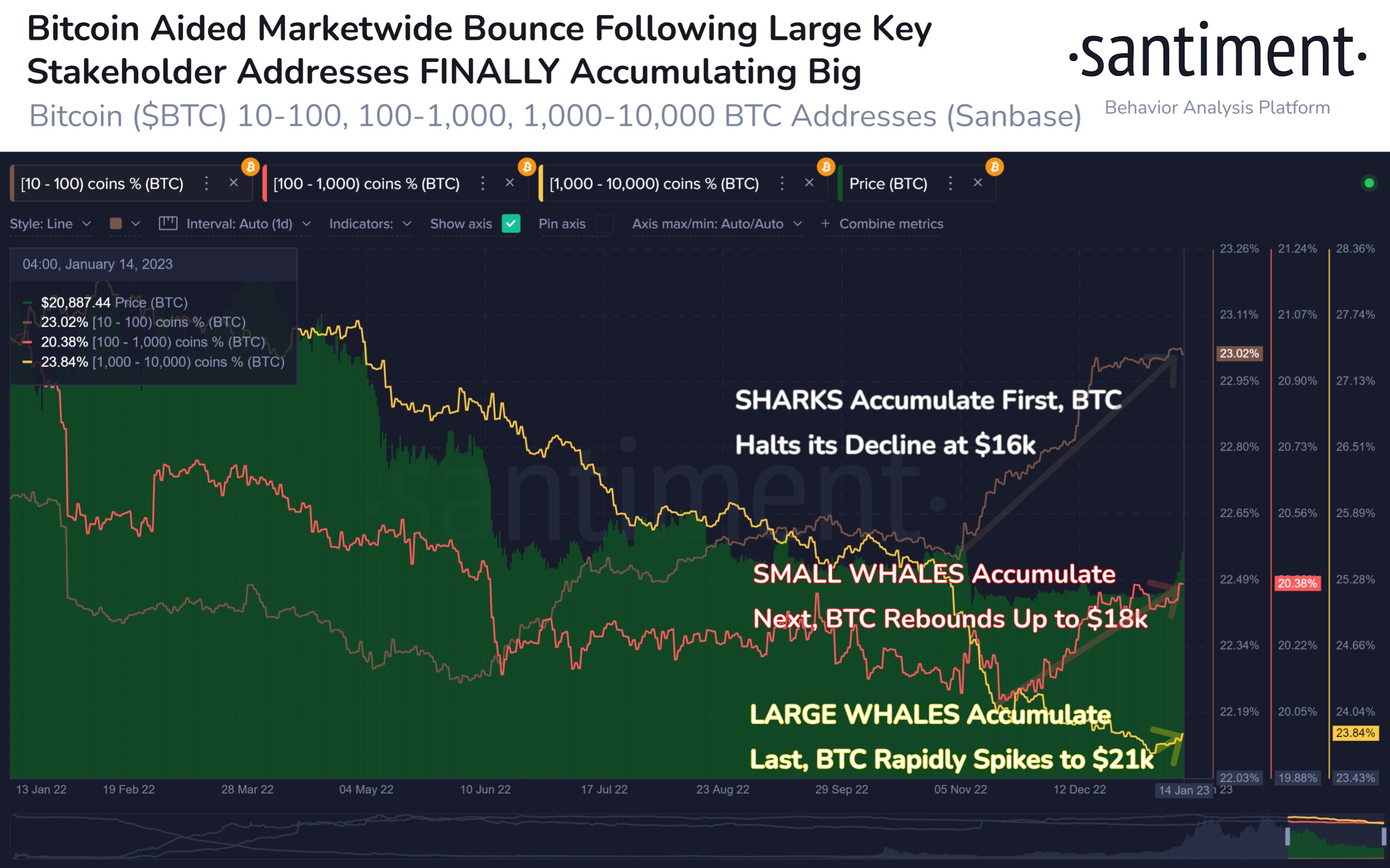 Balene Bitcoin