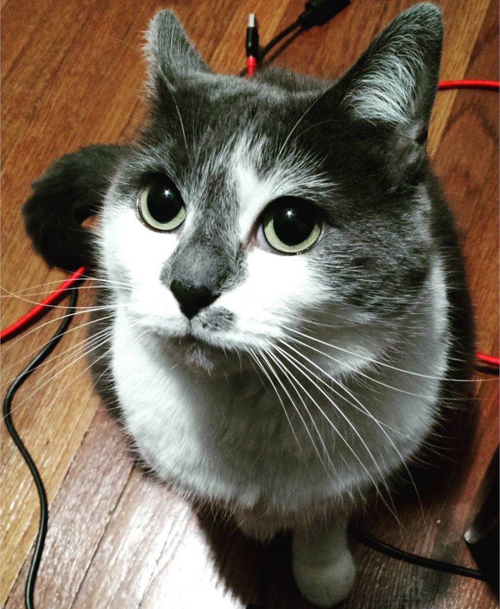 leahoh4's tweet photo. @cutefricker https://t.co/RBDhui5P64