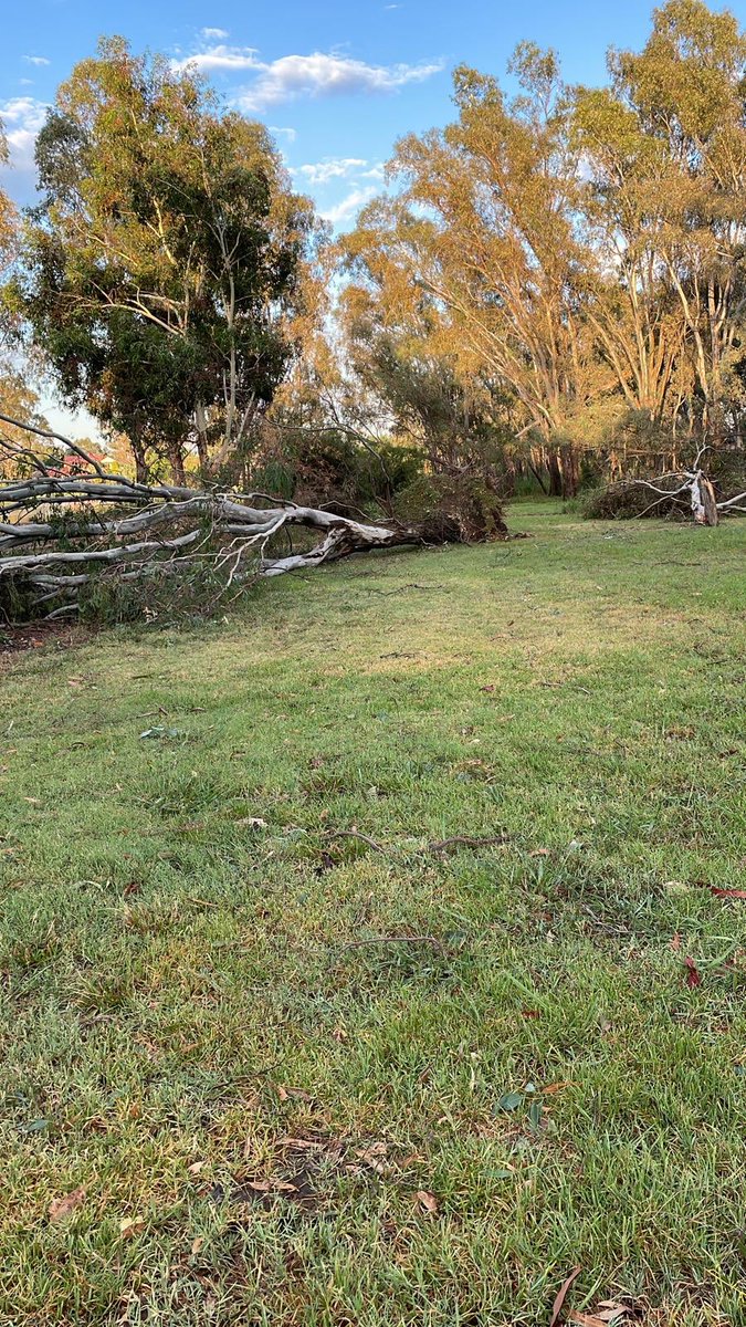 kategoodrich's tweet image. Photos from my Aunty in Benella, huge storm up there last night, apparently a hall had its roof torn off 😳

#Vicweather #melbourneweather