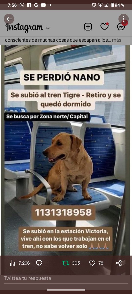 María Rosa tweet media