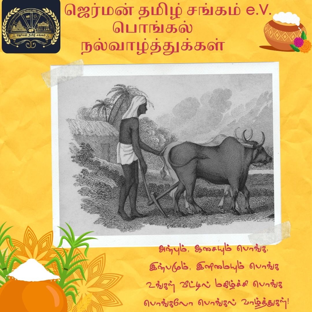 அன்பும், ஆசையும் பொங்க, இன்பமும், இனிமையும் பொங்க உங்கள் வீட்டில் மகிழ்ச்சி பொங்க பொங்கலோ பொங்கல் வாழ்த்துகள்!