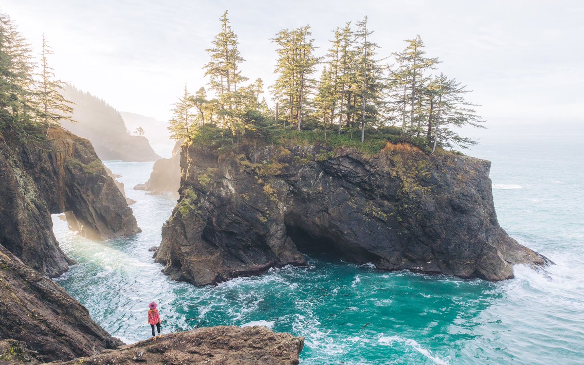 ElliotHawkey's tweet photo. morning light on the oregon coast https://t.co/mKYdnfc56O