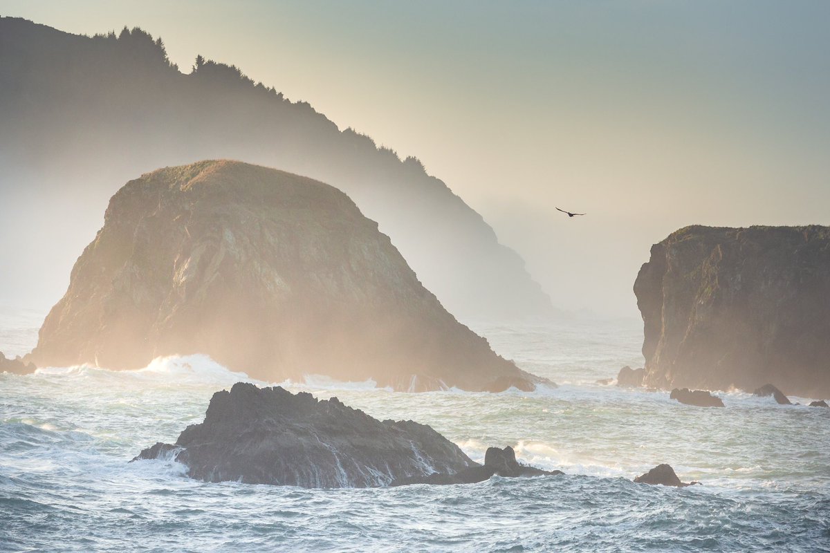 ElliotHawkey's tweet photo. morning light on the oregon coast https://t.co/mKYdnfc56O