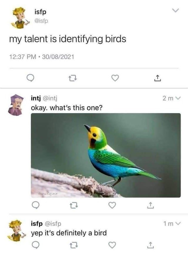 mrdbirdy's tweet photo. Top twitching! https://t.co/qEYKQK0IDT