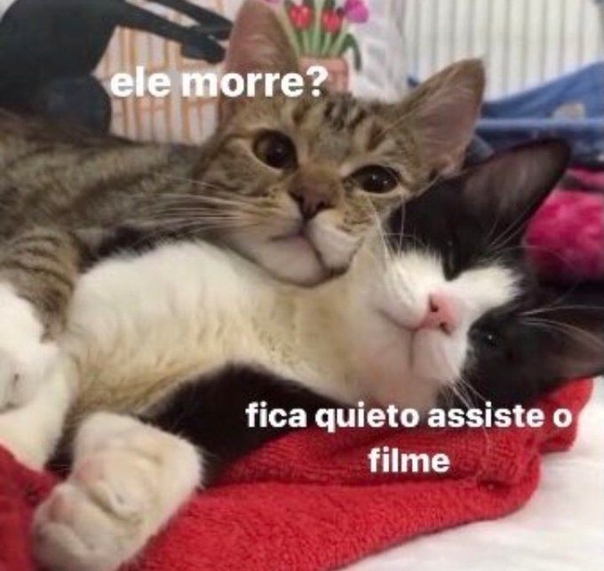 memeparaoarroba's tweet photo. https://t.co/74kLoRn1Iq