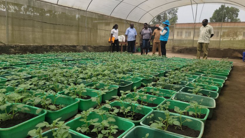 KopiaUganda's tweet photo. https://t.co/5HYSD09W2h