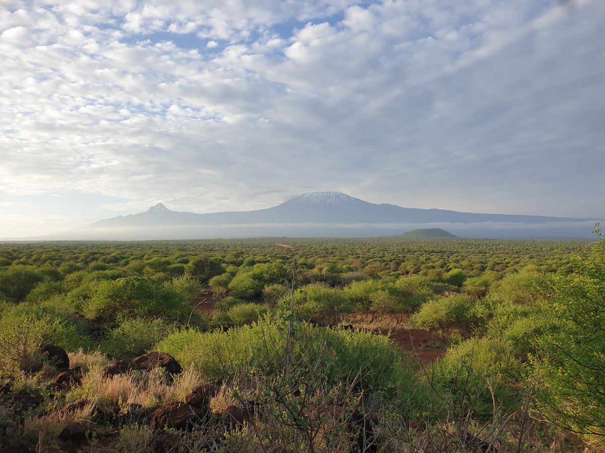 Collo_busuru's tweet photo. @theMagunga This is so true, when you visit Amboseli on a budget you can stay at @CampOldonyomusa. A self catering camp along the road to Kimana gate.

Beautiful views of Mt. Kilimanjaro, girrafes and zebras during morning nature walks. Only 5 minutes drive to Amboseli National Park. https://t.co/WpLuKIh3cn