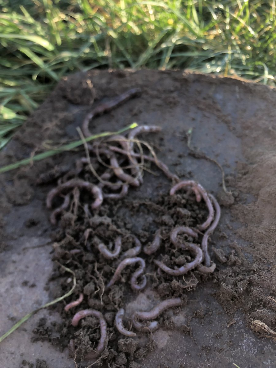 Definitely wasn’t expecting 23 at this time of year 💪