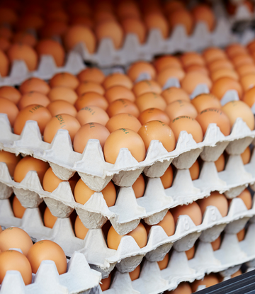 Though some commodities have seen deflation, including chicken, others have remained volatile. #foodservicesupplychain #restaurantsupply 
supplychainscene.org/resources/insi…