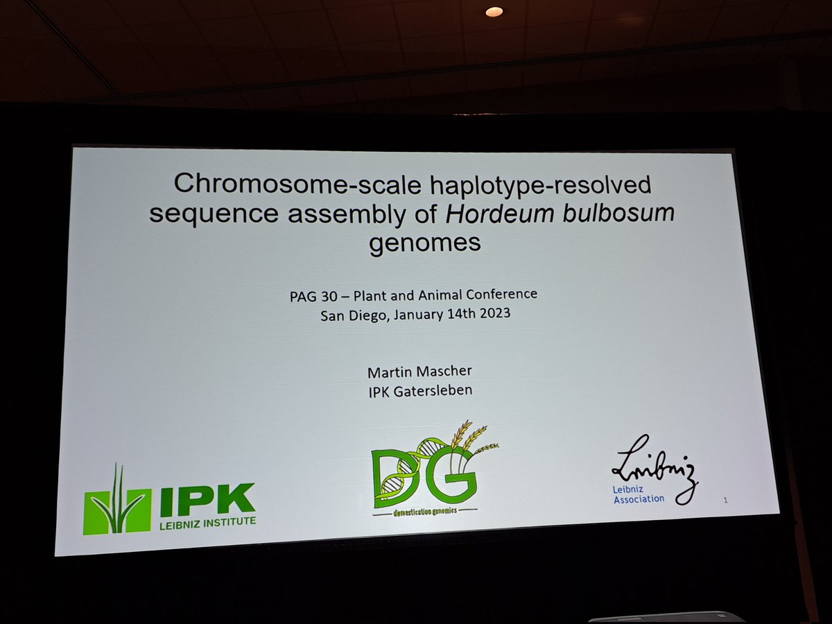 LeibnizIPK's tweet image. Martin Masher is presenting #Hordeum genus-wide #pangenomics @PAGmeeting #PAG30