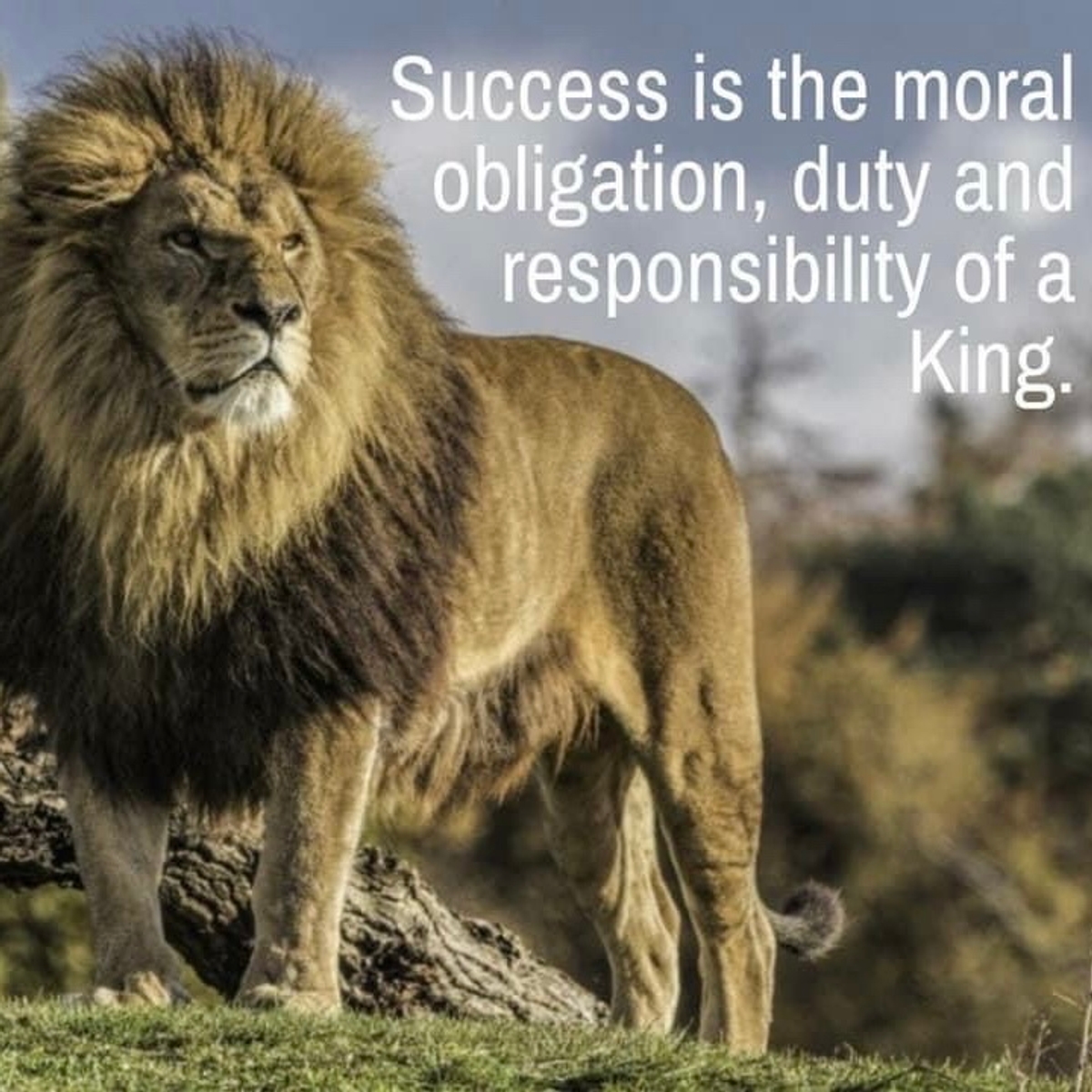 DrRyanKnight's tweet photo. #dutyofaleader https://t.co/vlCztrye0m