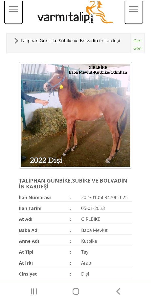 varmidirtalip's tweet photo. #Taliphan #Günbike #Subike nin kardeşi web sitemizde https://t.co/siTJYuEaee de satışa sunulmuştur detaylı bilgi ve fiyat için ücretsiz üye ol ilan ver at al sat ürününe değer kat @GokhanAksuGOLD @MetinMfg @sevketberbroglu @weeaal @patronaholi https://t.co/ZrlXZU38DJ