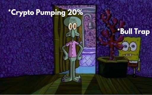 moabrudeboy's tweet photo. We are #Pumpimg even bigger @SteadyStackNFT than #ETH or #Bitcoin Respect @solana is on fire. https://t.co/R5nHXCkuPF