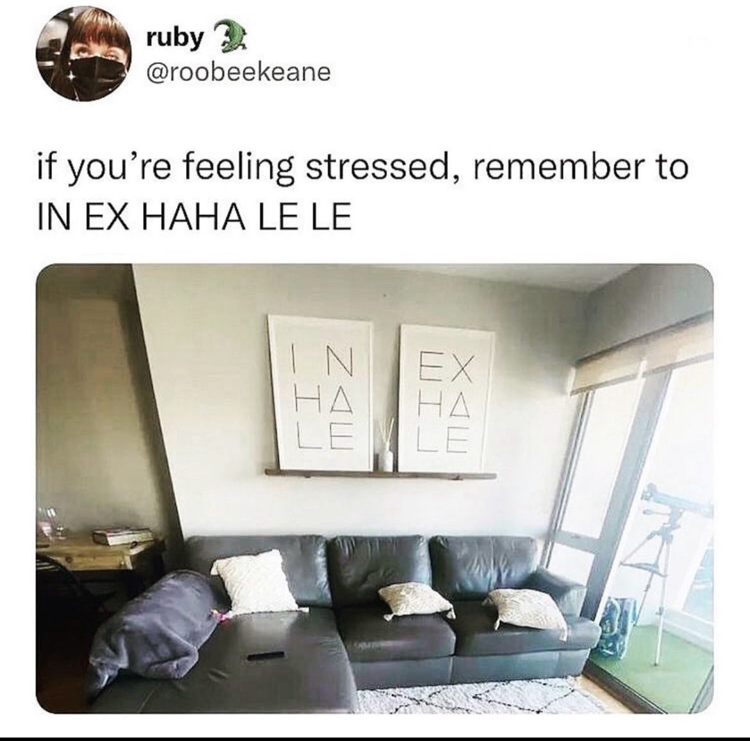 İngiliş bile olsa nefis bir kurpagiri banzarşi olayı