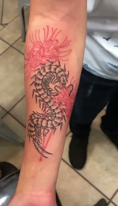 AlchemyTattooCo's tweet photo. Amazing piece by our future artist @tattoosbyjw "Centipede with red spider lily." 
#alchemytattoocollective #centipedetattoo #spiderlilytattoo #insecttattoo #forearmtattoo https://t.co/24jc1JPnry