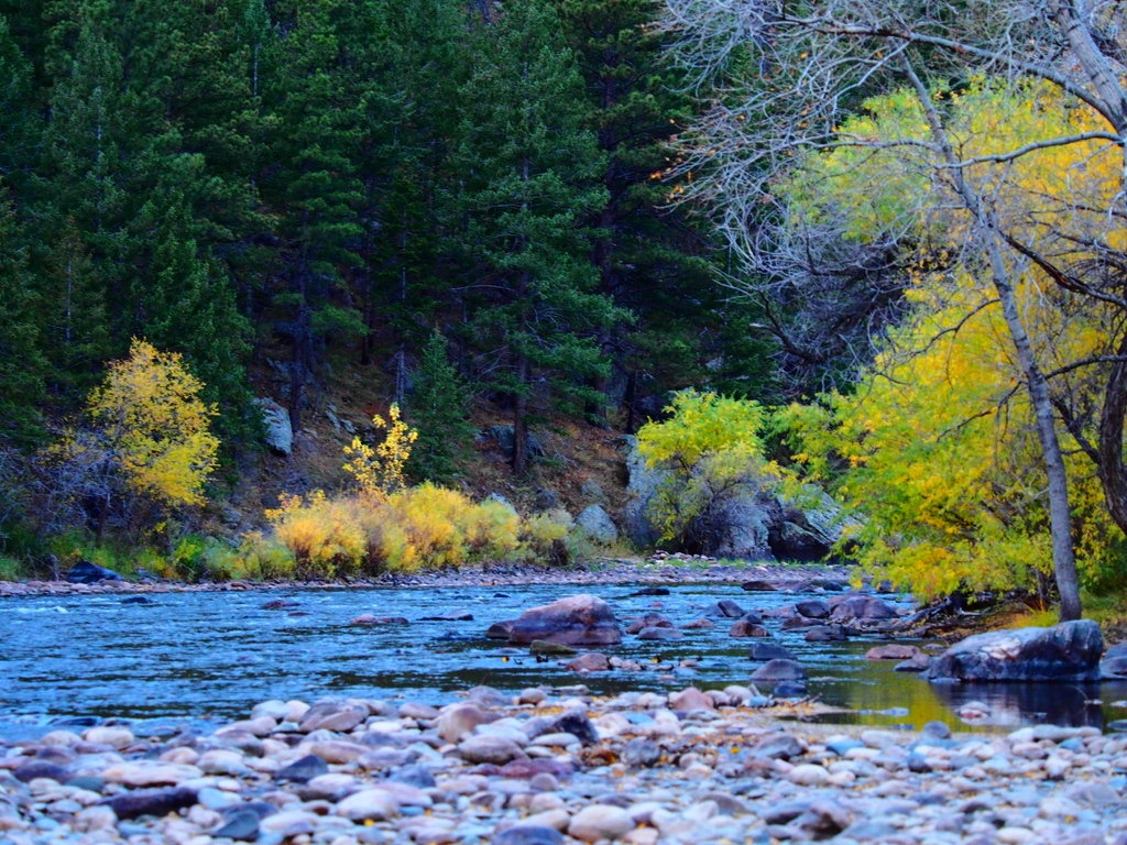 PoudreHeritage's tweet photo. Beautiful day on the poudre (📸@bethbullardauthor 🤩)
.
.
.
#poudreriver #coloradoviews #colorfulcolorado #coloradoshared #naturalcolorado #onlyincoloradousa #explorecolorado https://t.co/iU6YdnQx94