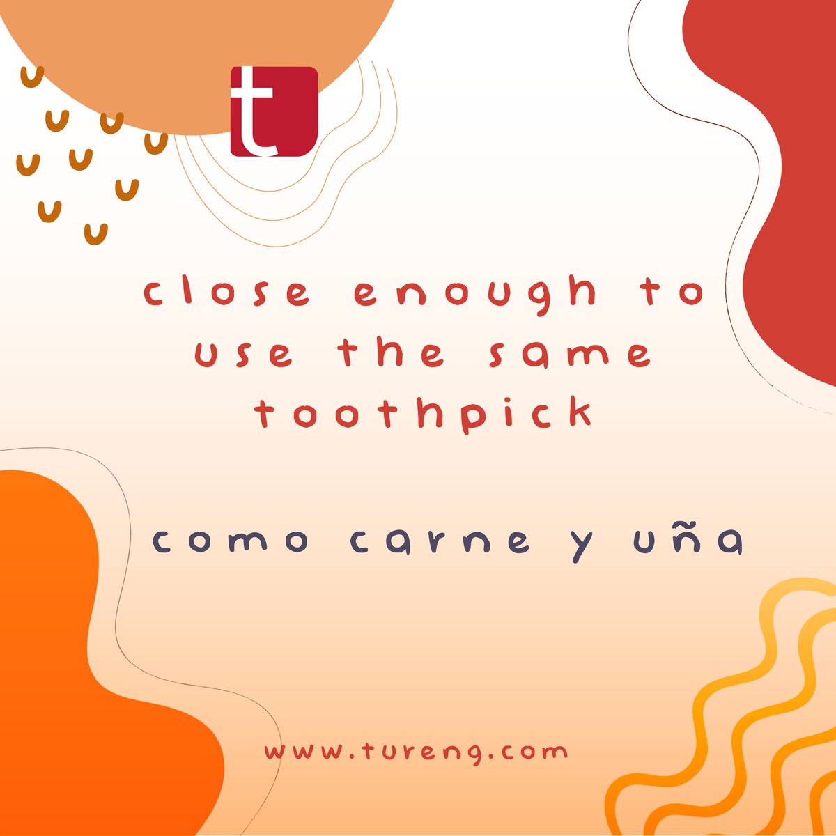 close enough to use the same toothpick - como carne y uña
-- 
Subcribe to our YouTube channel to watch the videos of the common English words: youtube.com/c/TurengPresen… #expressions #phrases #idioms #expresiones #frases #idiomas.