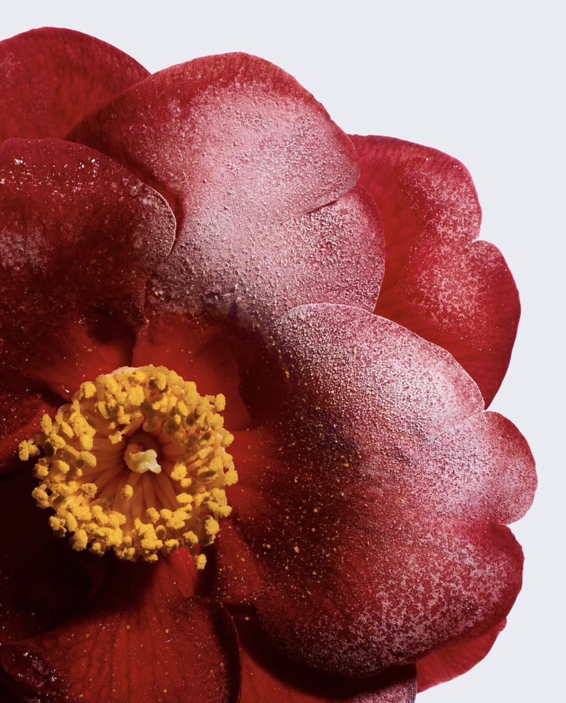 هؤلاَء الَّـذين يصرُّون على الجُلوس بمحَـاذاة النَّافذة, لَو سألتَهُم عن تفَاصيل الْطَّـريق; لاَ يَعرفون.

― ميخائيل ليرمنتوف