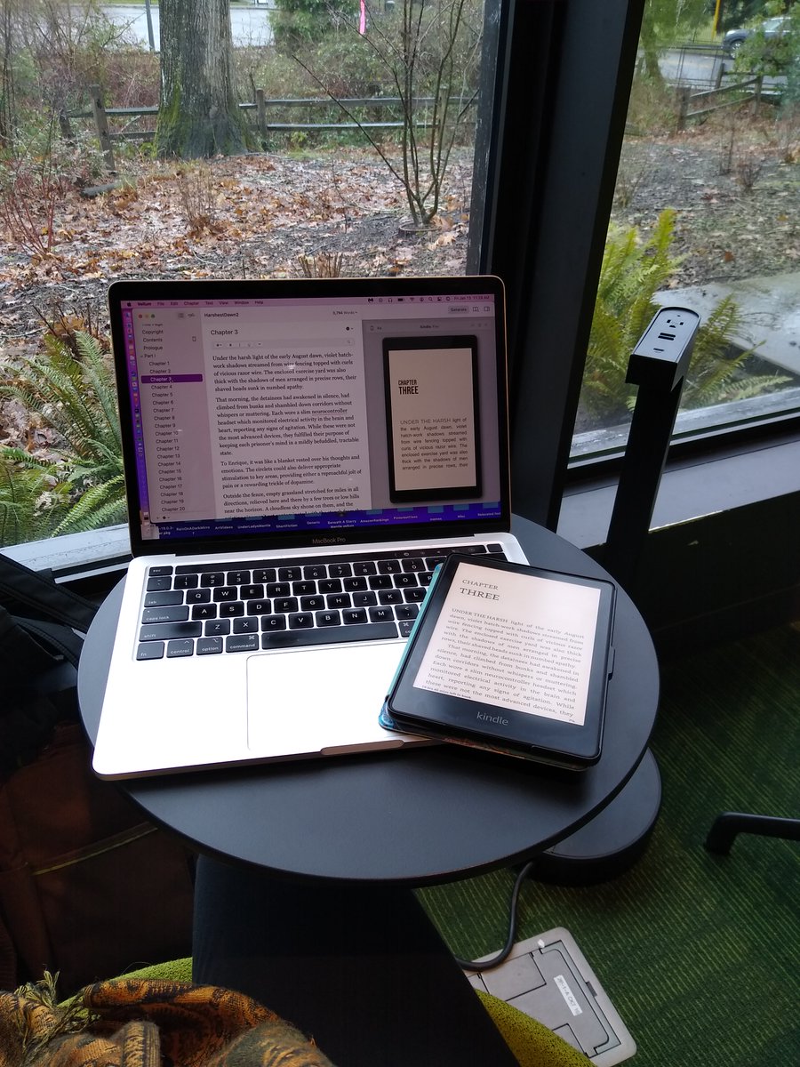 SKirkPierzchala's tweet photo. My local library is my perfect office-away-from-home! Comfy chairs, beautiful view, super quiet with no distractions!! Editing is a dream!
#amwriting #amediting #catholicwriter #catholicnovel https://t.co/GkNdyxErp7