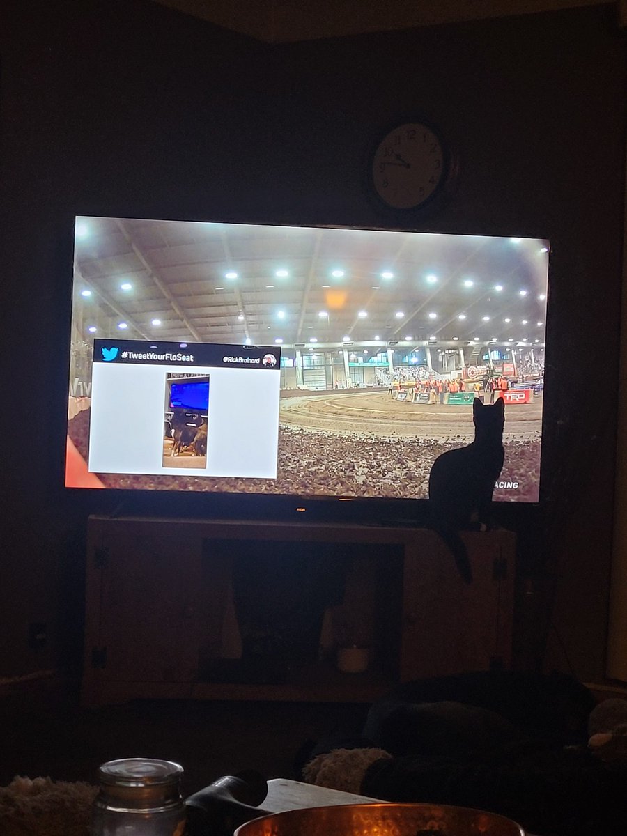 geoffman09's tweet photo. Cats love to watch racing too. @floracing @cbnationals #tweetyourfloseat https://t.co/A1Tbj89Uew