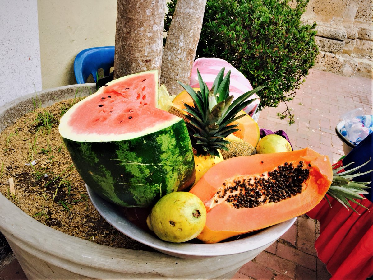 lgelya's tweet photo. Gifts of Nature in Cartagena, Colombia. We traveled to South America in 2017.
#cartagena #colombia #nature #giftsofnature #fruit #travel #travelphotography #adventure #laragelya #lifestory #books https://t.co/OCC9UbWmhS